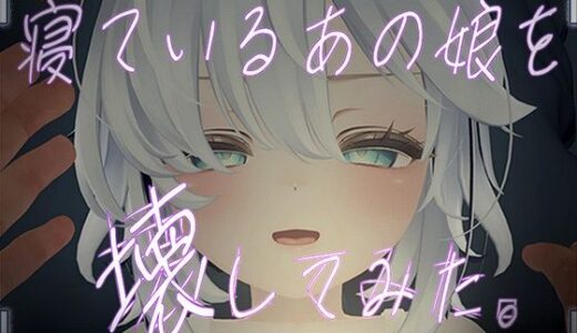 寝ているあの娘を壊してみた。VR