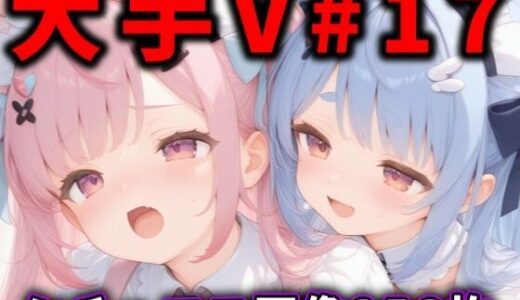 大人気Vtuberのエロ画像集 17