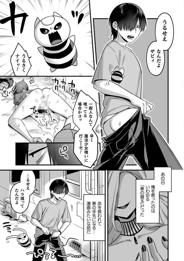悪の手先になったので。 〜魔法少女を××します〜 THE BOOK【山梨ユウヤ】 エロ画像 006