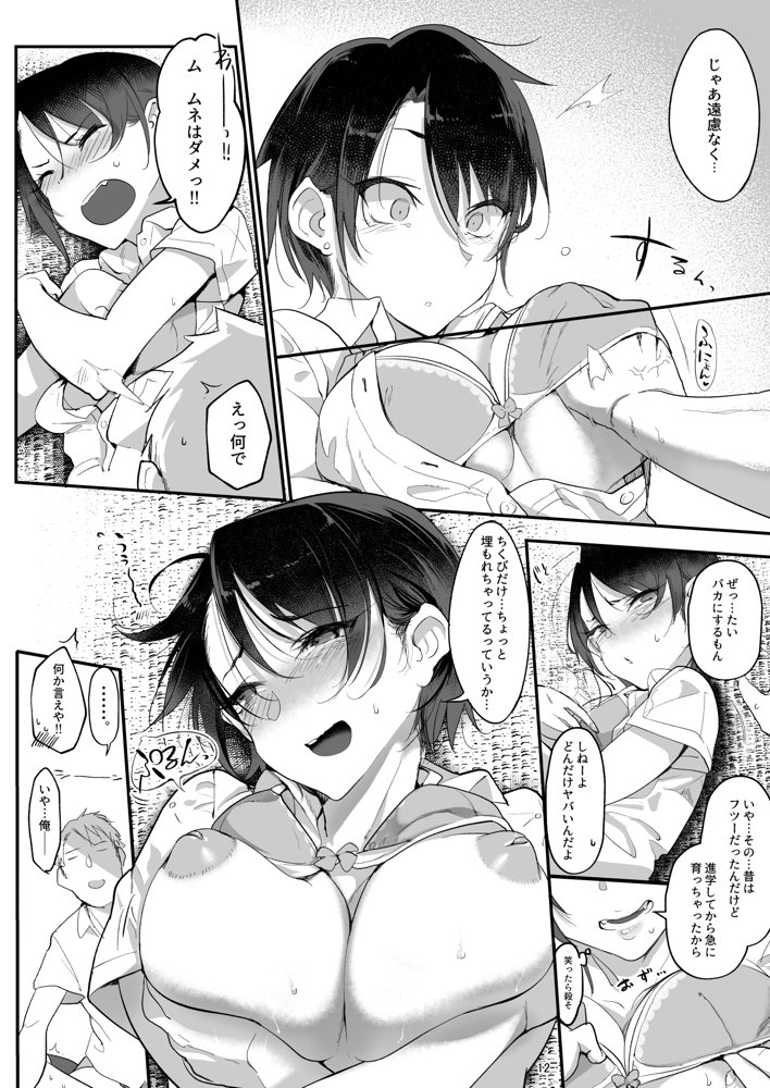 メスダチ。総集編1【SHIS】 エロ同人誌画像 009