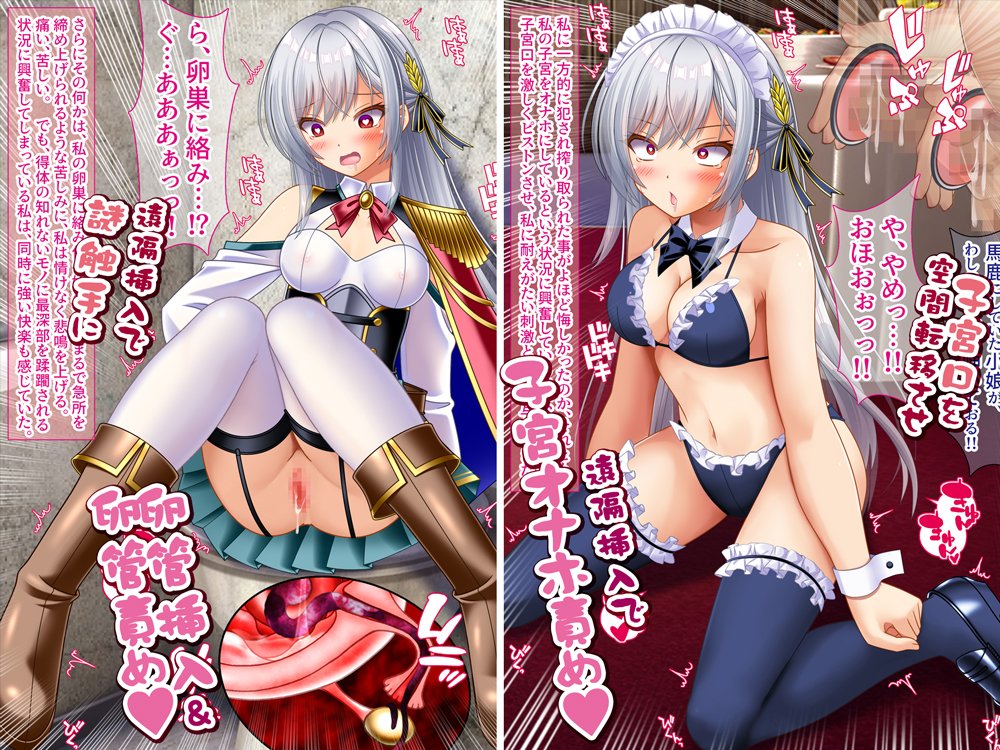 変態TS女騎士  逆レ●プして子宮オナホになる【女騎士の城】 エロ同人誌画像 106