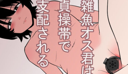 雑魚オス君は貞操帯で支配される【蜂蜂蜂】