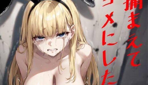 捕まえてヨメにした。【レディーゴー山田】