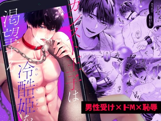 「カンスト王子は冷酷姫を渇望する」【伊達巻レデヰ】