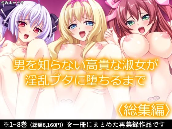 男を知らない高貴な淑女が淫乱ブタに堕ちるまで  ＜総集編＞【あまからや】