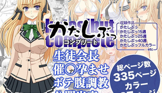 かたしぶっコンプリート【幸せ共和国】