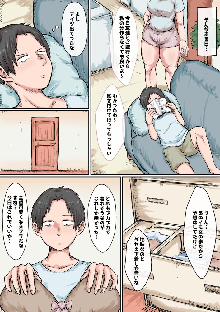 芋女と馬鹿にしていた姉貴に堕とされJKの玩具になるまで。【くーへんばうむ】 エロ同人誌画像 015