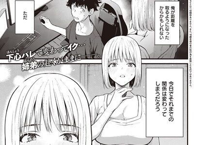 歪な楔【ぼーかん】