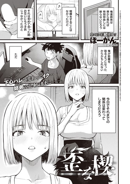 歪な楔【ぼーかん】