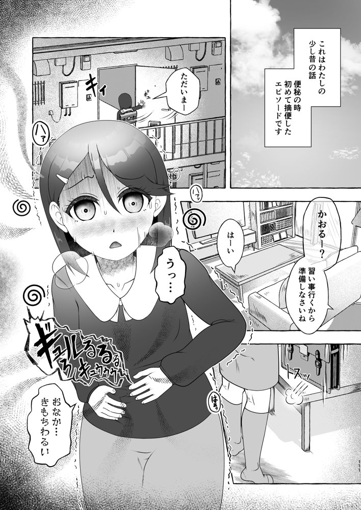 匿名投稿型排泄体験談まとめ［スカトロ作品総集編］【屑管理システム】 エロ同人誌画像 021