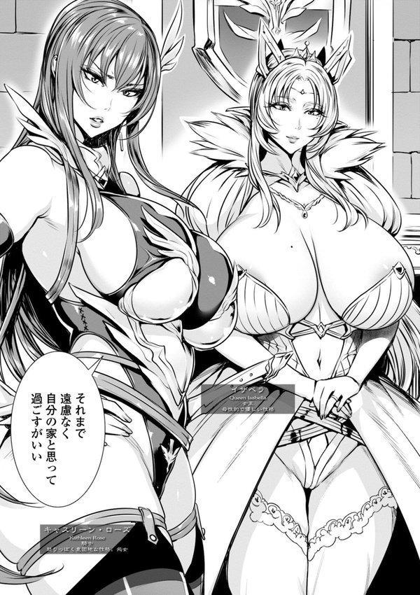いっぱいイってね 勇者さま【飛燕】 エロ画像 005