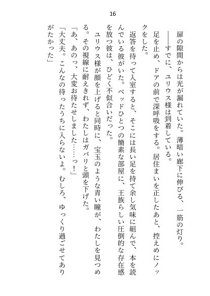 王子＆大魔法使い様と義務でセックスしてた召還聖女ですが世界を救ったのち、逃げてしまいました【さみどり】 エロ同人誌画像 008