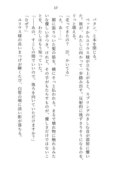 王子＆大魔法使い様と義務でセックスしてた召還聖女ですが世界を救ったのち、逃げてしまいました【さみどり】 エロ同人誌画像 009