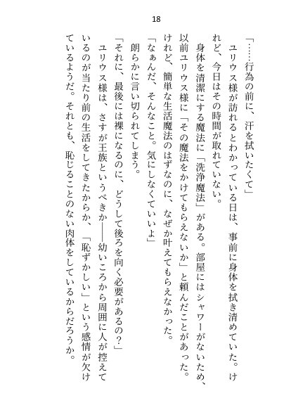 王子＆大魔法使い様と義務でセックスしてた召還聖女ですが世界を救ったのち、逃げてしまいました【さみどり】 エロ同人誌画像 010