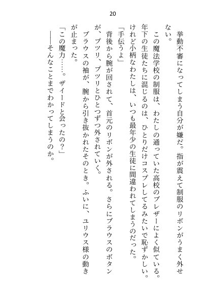 王子＆大魔法使い様と義務でセックスしてた召還聖女ですが世界を救ったのち、逃げてしまいました【さみどり】 エロ同人誌画像 013