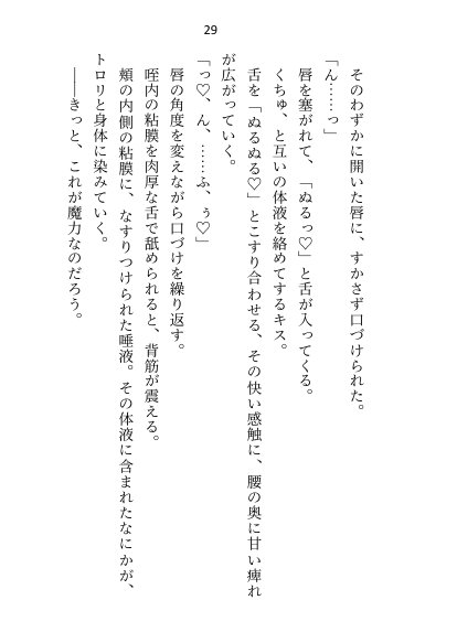 王子＆大魔法使い様と義務でセックスしてた召還聖女ですが世界を救ったのち、逃げてしまいました【さみどり】 エロ同人誌画像 022
