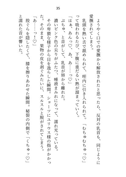 王子＆大魔法使い様と義務でセックスしてた召還聖女ですが世界を救ったのち、逃げてしまいました【さみどり】 エロ同人誌画像 029