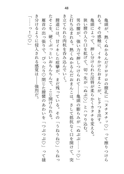 王子＆大魔法使い様と義務でセックスしてた召還聖女ですが世界を救ったのち、逃げてしまいました【さみどり】 エロ同人誌画像 043