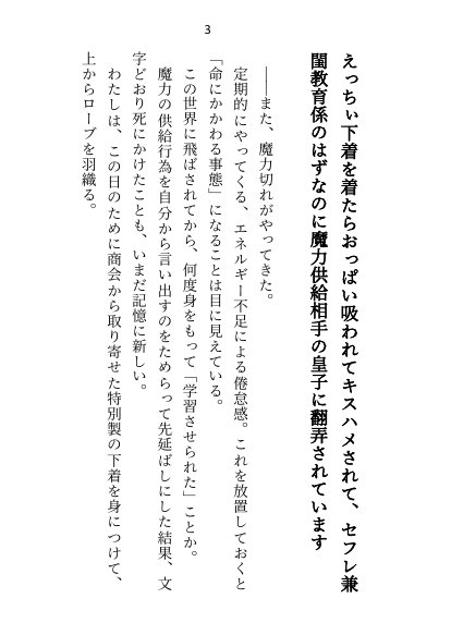 異世界で魔力ゼロのわたしが生き抜くにはセックスによる魔力供給が必要でした〜皇子のセフレ兼閨教育係のはずが逃亡先で熱烈プロポーズされちゃいました〜【さみどり】 エロ同人誌画像 023