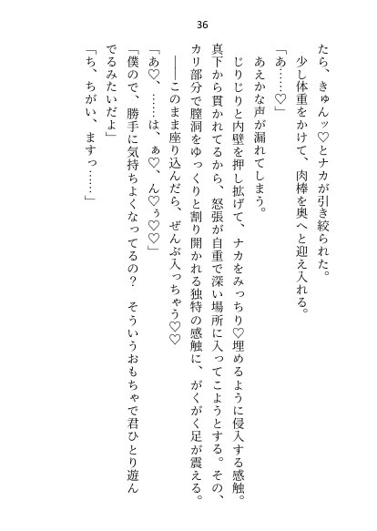 異世界で魔力ゼロのわたしが生き抜くにはセックスによる魔力供給が必要でした〜皇子のセフレ兼閨教育係のはずが逃亡先で熱烈プロポーズされちゃいました〜【さみどり】 エロ同人誌画像 030
