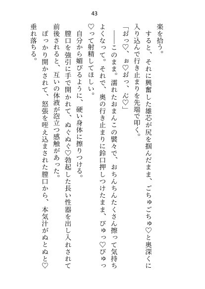 異世界で魔力ゼロのわたしが生き抜くにはセックスによる魔力供給が必要でした〜皇子のセフレ兼閨教育係のはずが逃亡先で熱烈プロポーズされちゃいました〜【さみどり】 エロ同人誌画像 038