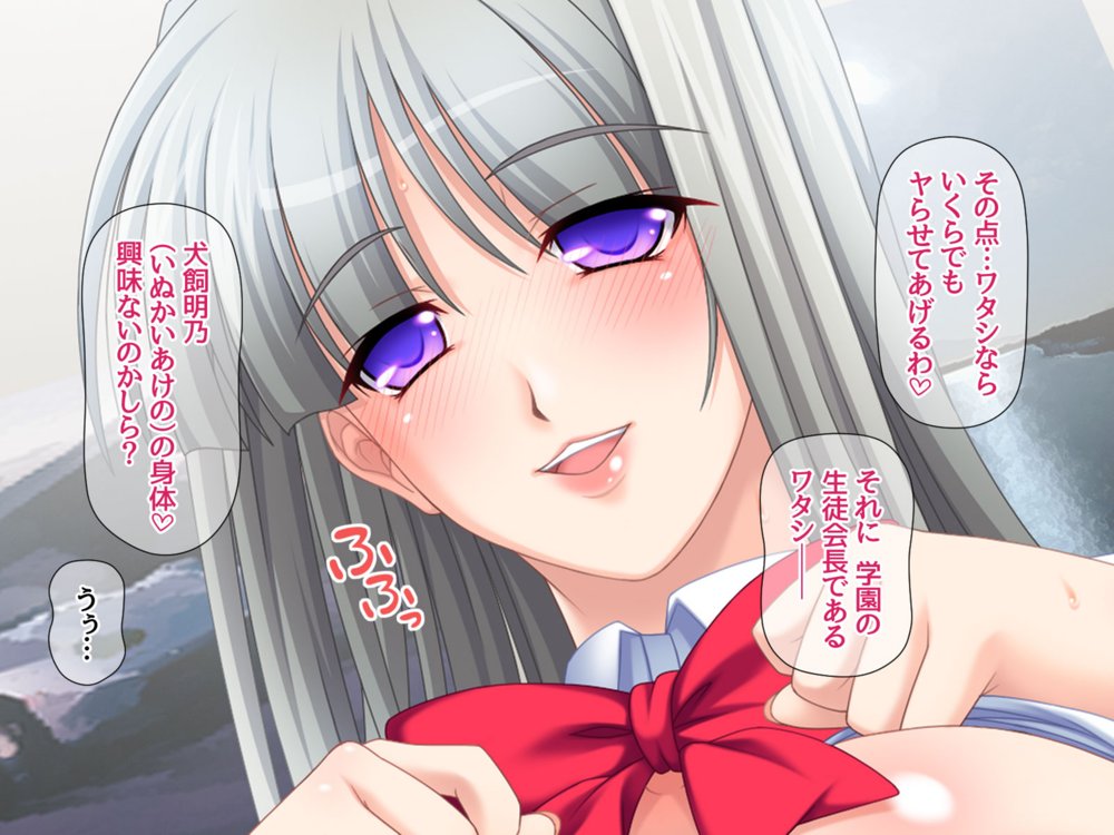 リメイク版 生徒会長は俺の中出し専用穴 総集編【あまがみ堂】 エロ同人誌画像 003