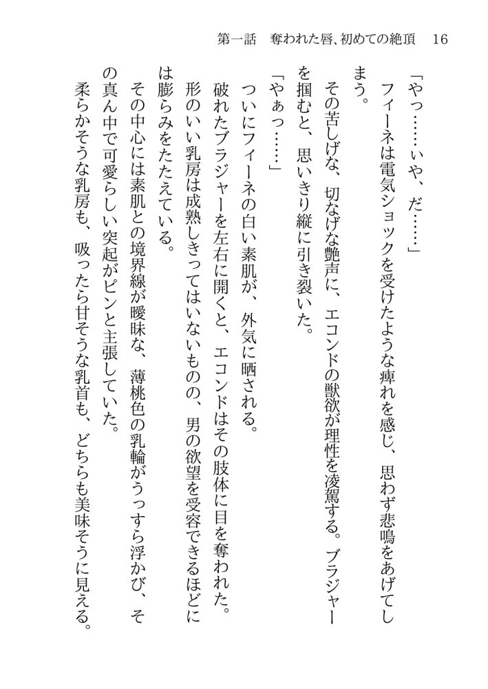 捕らわれの聖女〜無垢なヒロインは敵司令官に抱き潰され快楽の日々に堕ちる〜【月見ハク】 エロ同人誌画像 002
