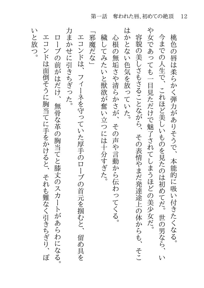 捕らわれの聖女〜無垢なヒロインは敵司令官に抱き潰され快楽の日々に堕ちる〜【月見ハク】 エロ同人誌画像 022