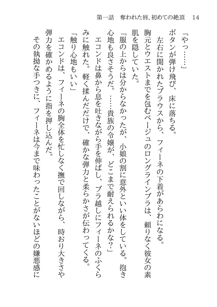 捕らわれの聖女〜無垢なヒロインは敵司令官に抱き潰され快楽の日々に堕ちる〜【月見ハク】 エロ同人誌画像 024