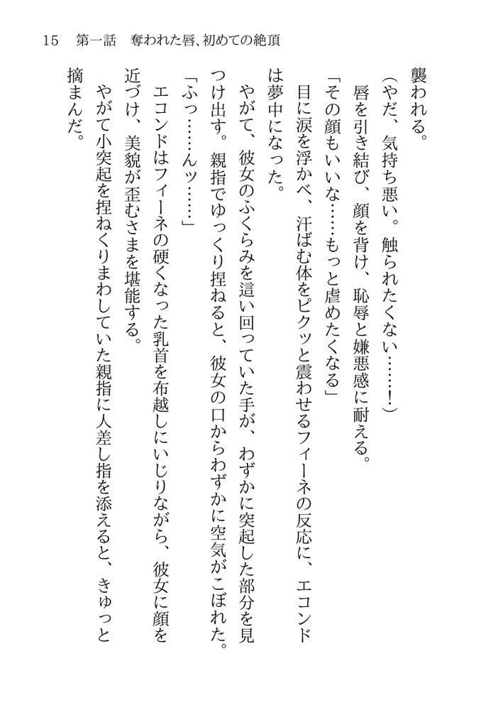 捕らわれの聖女〜無垢なヒロインは敵司令官に抱き潰され快楽の日々に堕ちる〜【月見ハク】 エロ同人誌画像 025