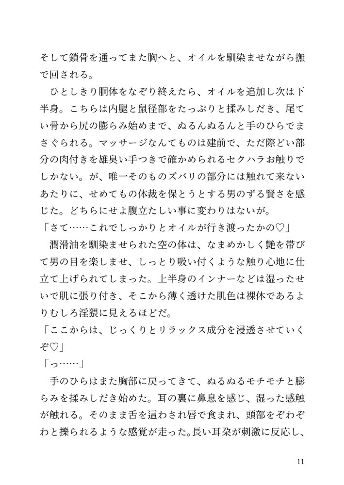 【小説】エルフ騎士様恥辱の御夜伽。絶倫ちんぽに雌伏せん【LETM】 エロ同人誌画像 004