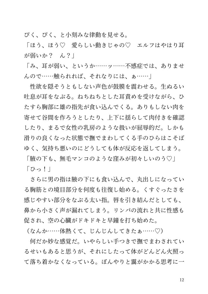 【小説】エルフ騎士様恥辱の御夜伽。絶倫ちんぽに雌伏せん【LETM】 エロ同人誌画像 005