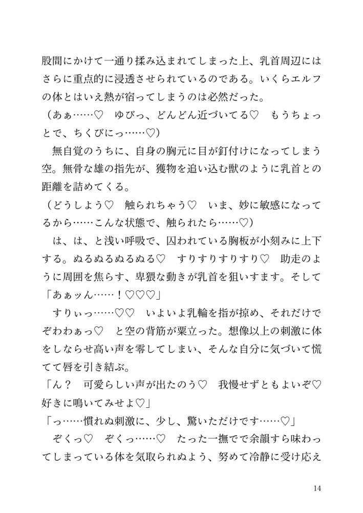 【小説】エルフ騎士様恥辱の御夜伽。絶倫ちんぽに雌伏せん【LETM】 エロ同人誌画像 007