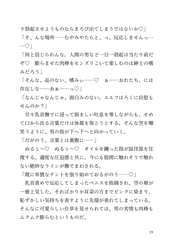 【小説】エルフ騎士様恥辱の御夜伽。絶倫ちんぽに雌伏せん【LETM】 エロ同人誌画像 013
