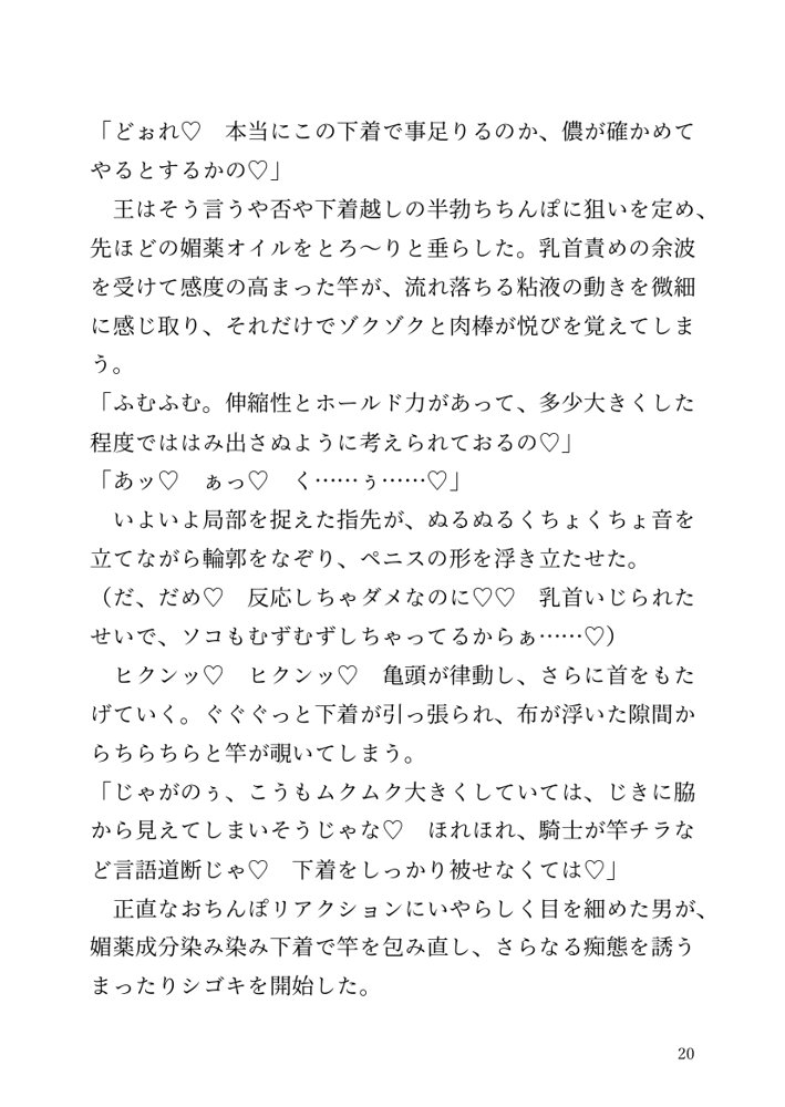 【小説】エルフ騎士様恥辱の御夜伽。絶倫ちんぽに雌伏せん【LETM】 エロ同人誌画像 014