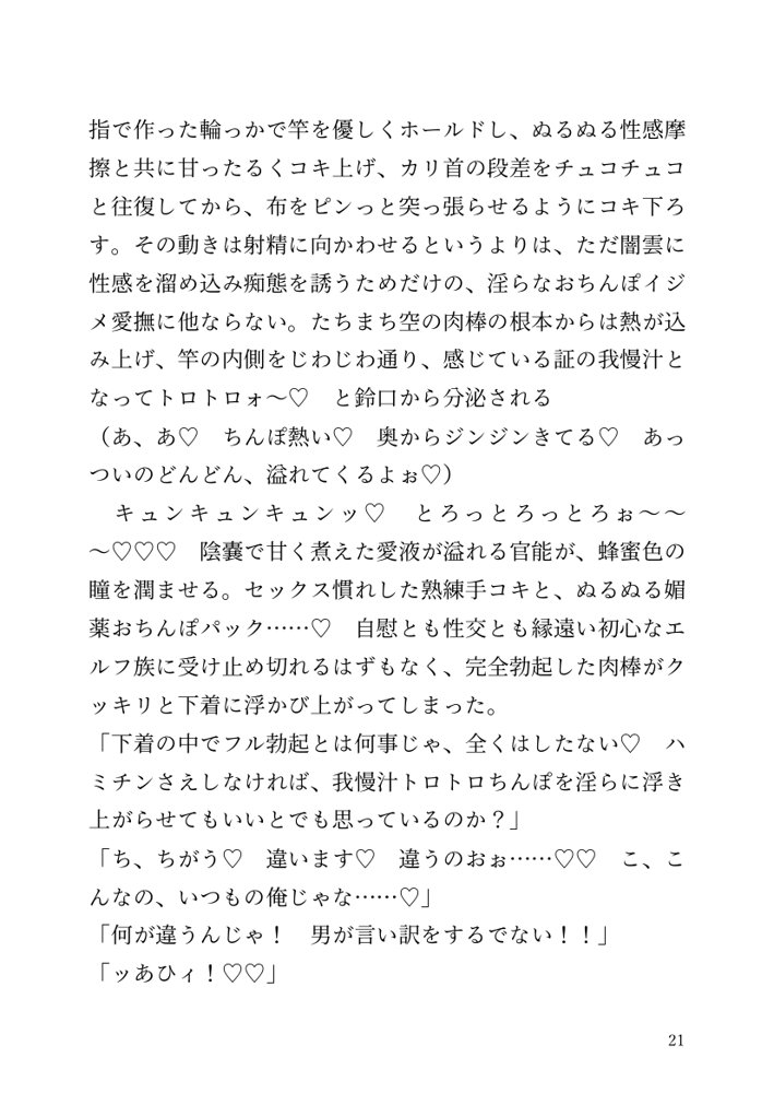 【小説】エルフ騎士様恥辱の御夜伽。絶倫ちんぽに雌伏せん【LETM】 エロ同人誌画像 015