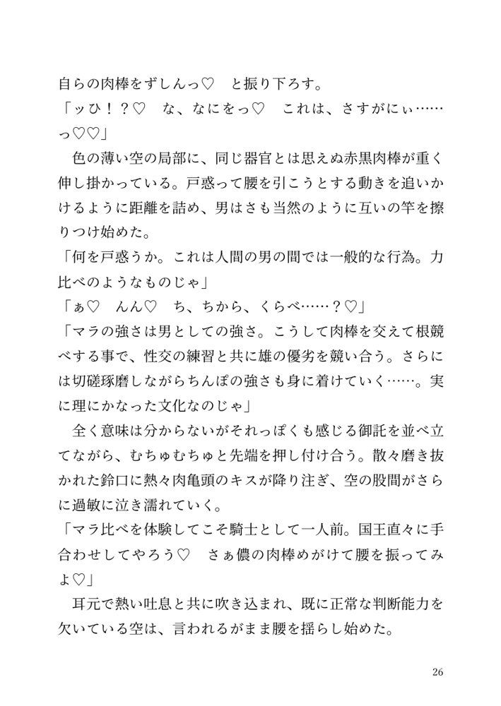 【小説】エルフ騎士様恥辱の御夜伽。絶倫ちんぽに雌伏せん【LETM】 エロ同人誌画像 020