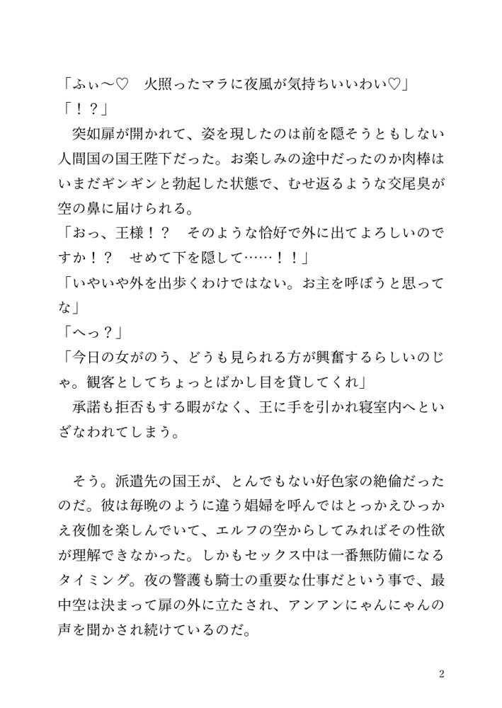 【小説】エルフ騎士様恥辱の御夜伽。絶倫ちんぽに雌伏せん【LETM】 エロ同人誌画像 023