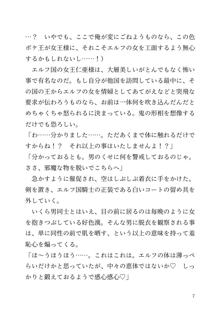 【小説】エルフ騎士様恥辱の御夜伽。絶倫ちんぽに雌伏せん【LETM】 エロ同人誌画像 033