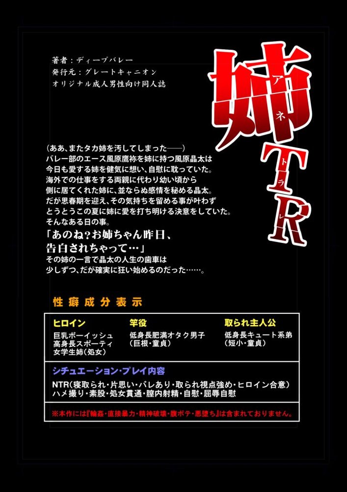 姉TRアネトラレ〜僕の大好きなお姉ちゃんがアイツに奪われた話〜DL増量版【グレートキャニオン】 エロ同人誌画像 017