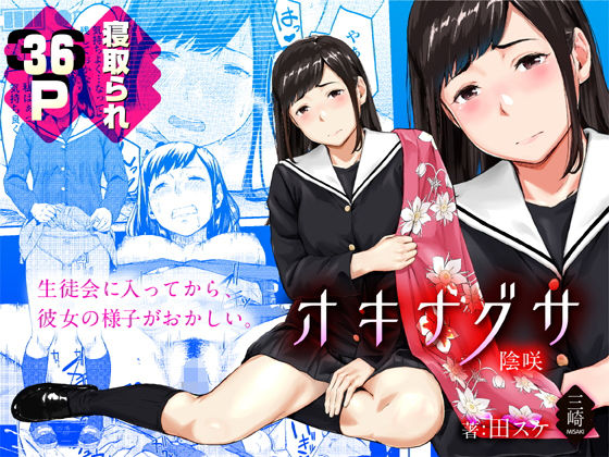 オキナグサ 陰咲【三崎】