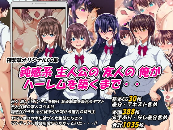 鈍感系主人公の友人の俺がハーレムを築くまで・・【特薬草】