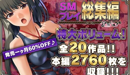 【超豪華版】SMプレイ 総集編【どろっぷす！】【どろっぷす！】