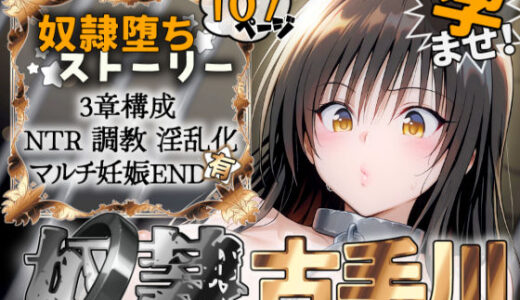 S計画 〜風紀委員・古◯川唯、奴◯堕ち〜【2dR】
