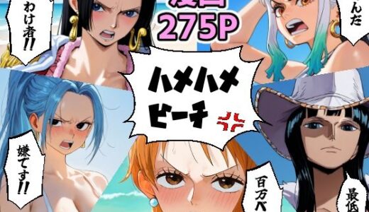 ワン○ース 催○ハメハメビーチ 【マンガ＋CG集】【コメットパンチ】