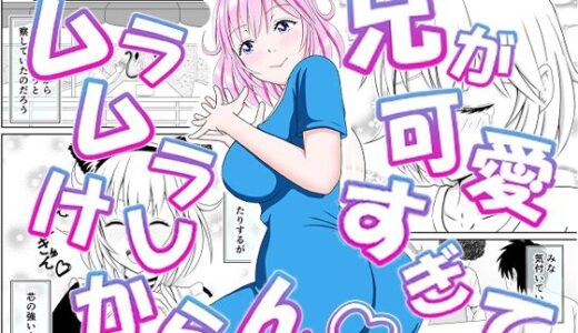 兄が可愛すぎてムラムラけしからん【_〆(´?`?)】