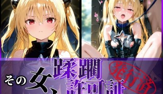 その女、蹂躙許可証発行済み -街の男たちに好き放題使われるヒロインCG集- ヤミ編【陥落工房】