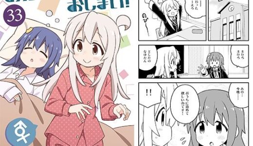 お兄ちゃんはおしまい！33【GRINP】