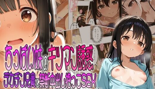 ちっぱい妹のキツマン誘惑〜デカチン兄貴と禁断中出し抱っこSEXしちゃった話【ぷるるん堂】