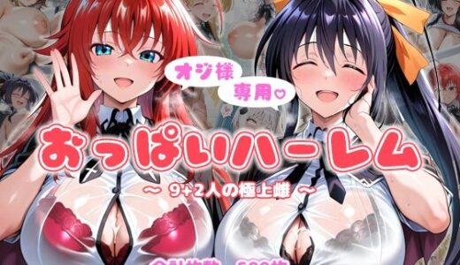 オジ様専用 おっぱいハーレム  〜9＋2人の極上雌〜【AID_oll】
